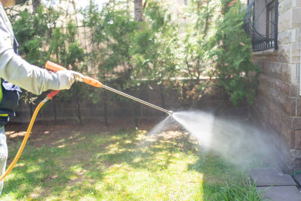 Best Flea Control Services  in Kulpsville, PA